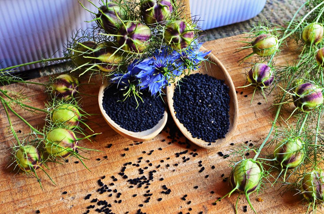 Nigella sativa black seed